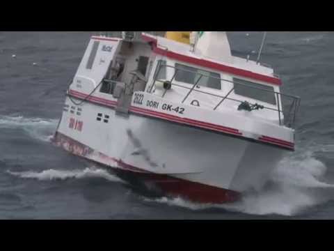 Dagur í lífi Fjölnis