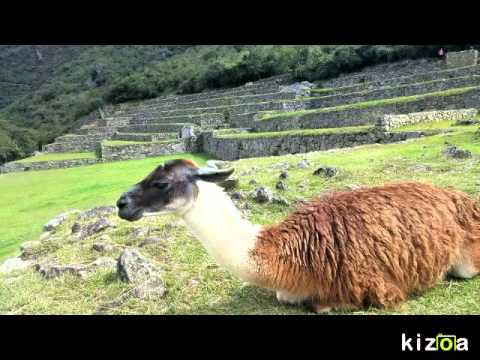 Kizoa Online Movie Maker: Our amazing journey to Machu Picchu