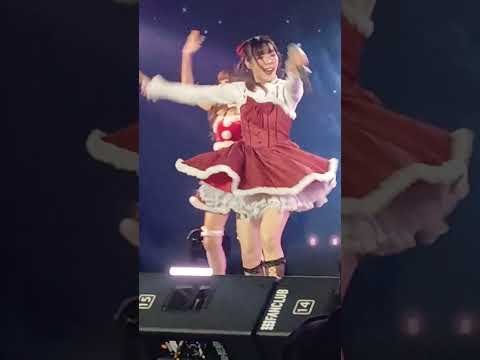 HatoBito PieHatoBito  TGG FESTIVAL 2024