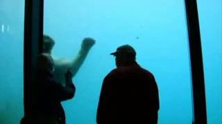 The Glass Enclosure - Bud Powell Trio