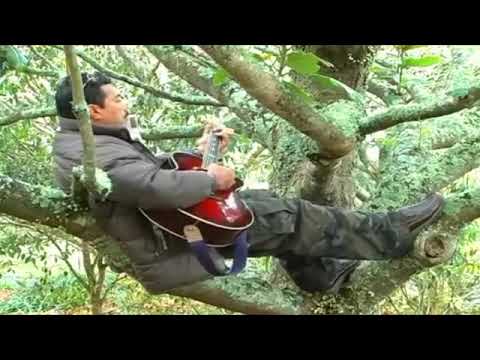 Misiluki Su'a - E Ua Malulu O Le Po