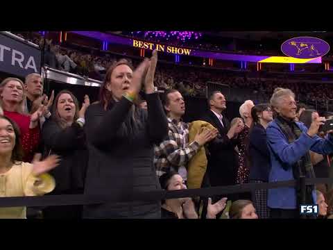 Best in Show Finals | 150th Westminster Kennel Club Dog Show