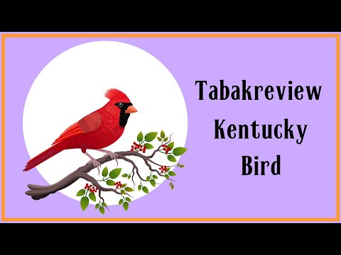 Tabakreview   Kentucky Bird