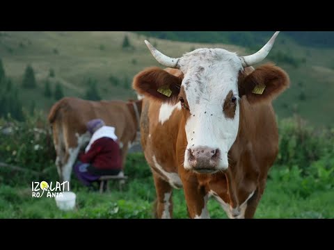 Pe drumuri necosite | Izolaţi în România, la TVR1