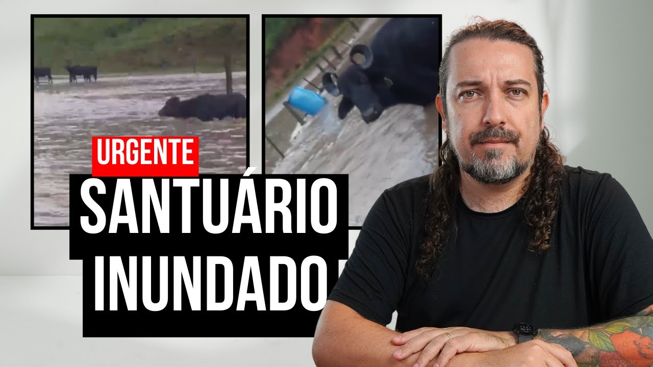 URGENTE: Santuário Vale da Rainha está embaixo d’água – há animais desaparecidos