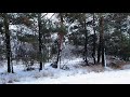SNOWFALL VIDEO 2021 ASMR SLEEP SOUNDS CHRISTMAS