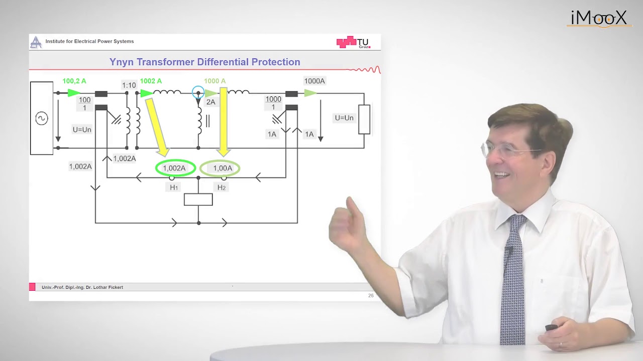 D1 Differential Protection: Basics