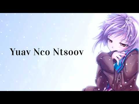 Yuav Nco Ntsoov | SuabNag Yaj (lyrics)