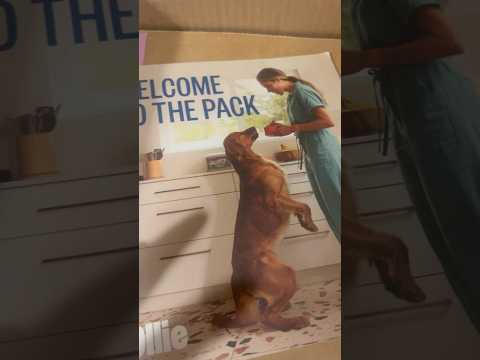 Unboxing Ollie’s dog food!