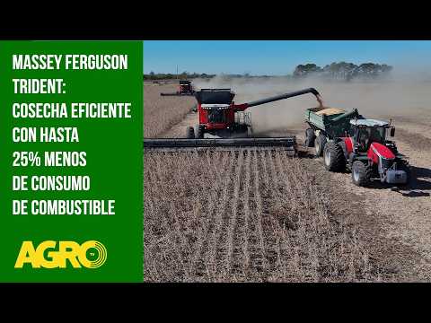 Massey Ferguson Trident: Cosecha eficiente con hasta 25% menos de consumo de combustible