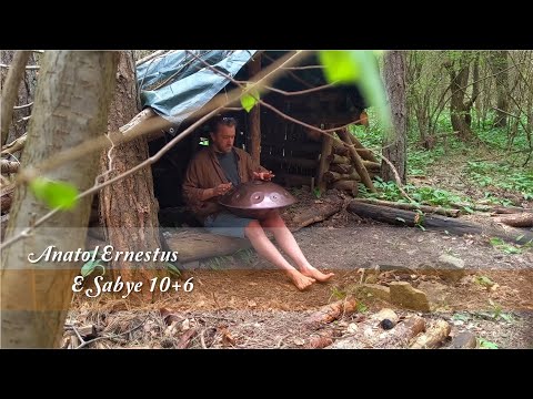 MrPans handpan - E Sabye 10+6 - Anatol Ernestus
