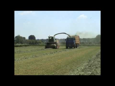 Loonw. Hava - Bentille