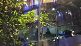 Celebrity reflection atrium elevator