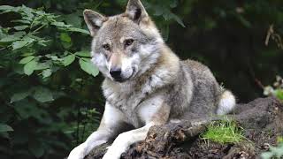 Cover art for Barbie de extrarradio sped up