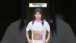 【崩壊】街の治安を守るミーコ軍団が解散した結果... #shorts #軍団 #あるある