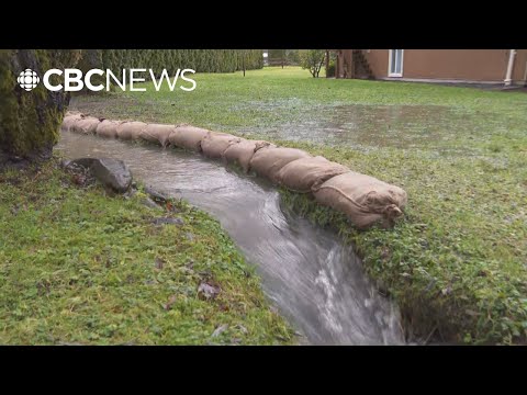 Flooding concerns raise evacuation fears near Chilliwack River