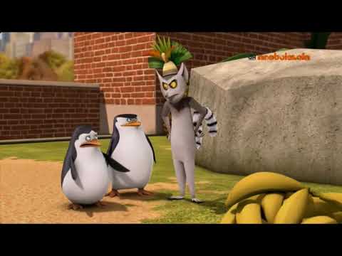 Pingwiny z Madagaskru Cały Odcinek Po Polsku "Na słodko"