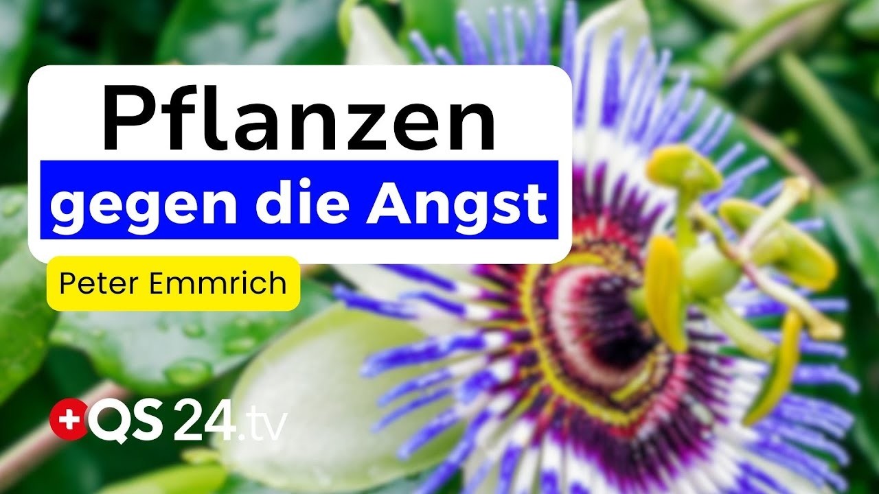 Natürliche Hilfe bei Angst und Stress – die Kraft bewährter Heilpflanzen | Urtinkturen 5/7 | QS24