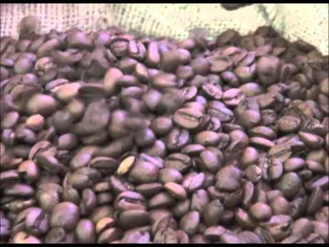 Programa Sabor a Bordo do dia 22/10/2014