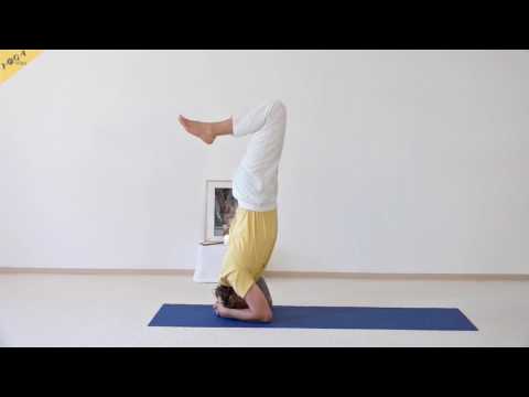 Kopfstand - Shirshasana - 84 Hauptasanas - Teil 9