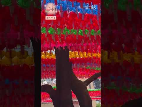 [나를 찾아 떠나는 여행] - 조계사 편🪷
