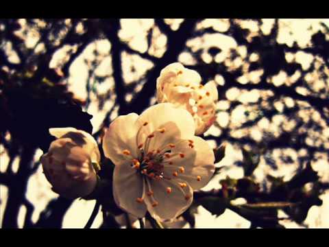 BERDE BAND - Dugo nije behar miris'o