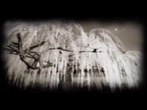 Project Zero 1 night 4 final night "Kirie" (no commentary) PS2 STORY FOCUSSED