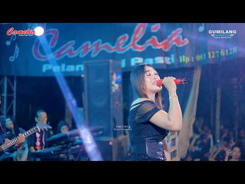 CAMELIA MUSIC - SAYANG - RIA ANDIKA - PARTY JALARA HAPPY X CAKRA - SOMOSARI BATEALIT JEPARA