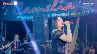 Download lagu CAMELIA MUSIC - SAYANG - RIA ANDIKA - PARTY JALARA HAPPY X CAKRA - SOMOSARI BATEALIT JEPARA mp3 Download lagu CAMELIA MUSIC - SAYANG - RIA ANDIKA - PARTY JALARA HAPPY X CAKRA - SOMOSARI BATEALIT JEPARA mp3