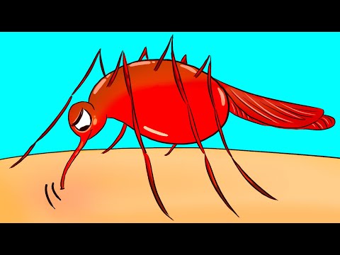 Почему комары кусают вас чаще других