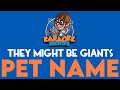They Might Be Giants - Pet Name (Karaoke)
