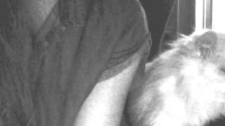 Cashmere Cat - kiss kiss