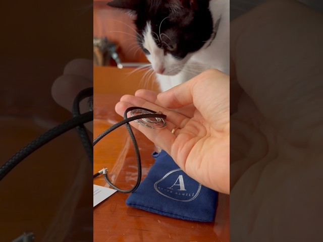 Vídeo relacionado con ASTER ALHELÍ - Pendientes Dorados Mujer Corazón - Pendientes Juveniles Aros Pequeños chapados en Oro - Pendientes Hipoalergénicos Niña Colgantes Corazones Colores - Regalos Originales (Rojo)