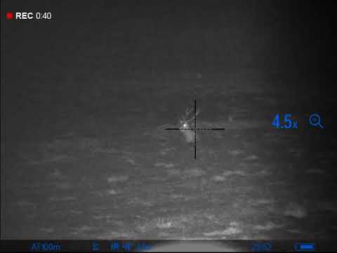 Hirsch liegt nach dem Kampf. Entfernung: 160 meter