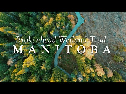 Brokenhead Wetland Trail Manitoba Fall | Cinematic Drone Footage
