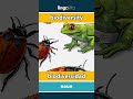 biodiversity - biodiversidad video thumbnail