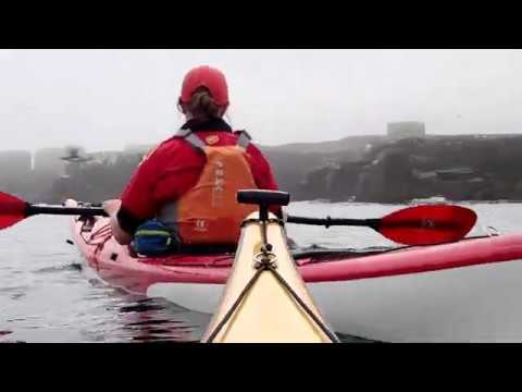 The Farne Islands  Grand Tour by Sea Kayak