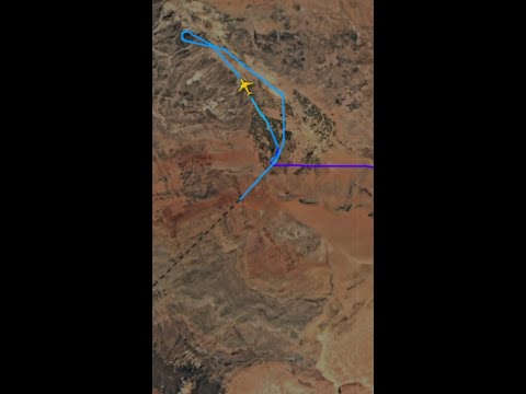 Animation shows flight path of the Israel-bound plane diverted amid reports of an onboard fight