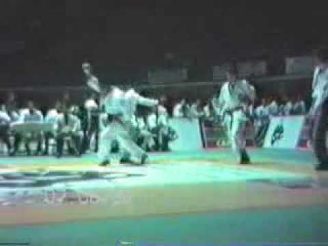 Campeonato Brasileiro de 1988