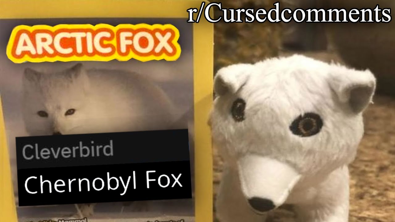 r/Cursedcomments | this makes me hurt