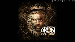Akon - CaShin Out (Remix)