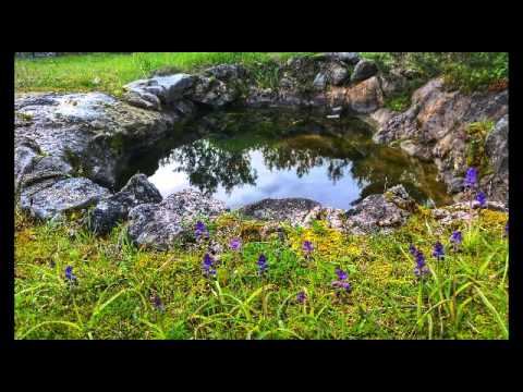 Kada jednom ovom zafalin se tilu - Hari Rončević