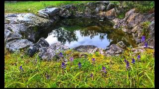 Kada jednom ovom zafalin se tilu - Hari Rončević