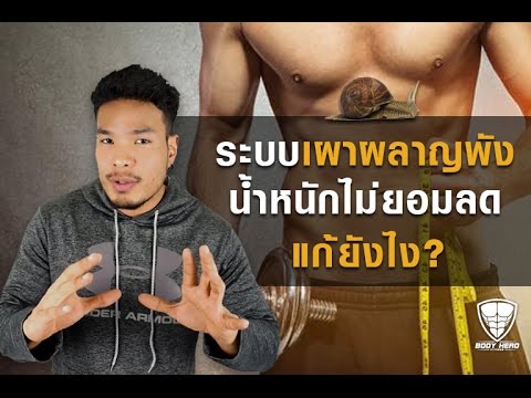 อวัยวะเพศชายขนาดเล็ก 15 Viagra for แรง