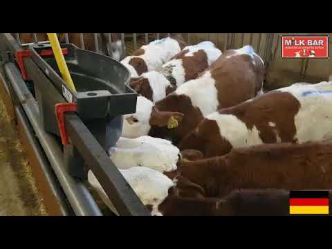 MilkBar Kälberfütterung in Deutschland