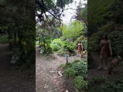 Can You Find Manhattan's Hidden Treehouse?