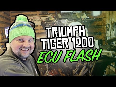 Otto Leirer - ECU Flash der neuen Tiger | Triumph Tiger 1200