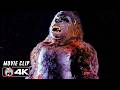 Kong S Last Stand Final Scene 1976 4K