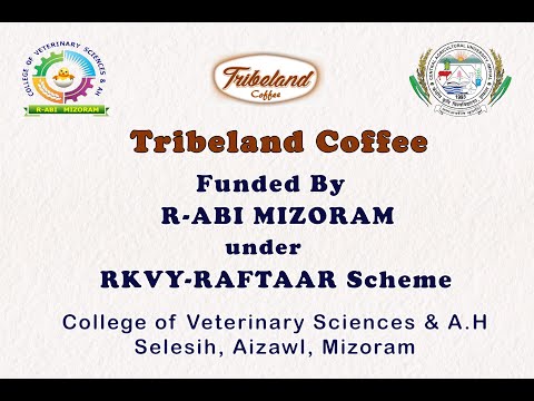 Tribeland Coffee - R-ABI Mizoram Funded Startup