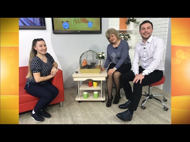 Живая среда